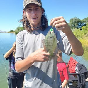 Meet your Posher, Alex